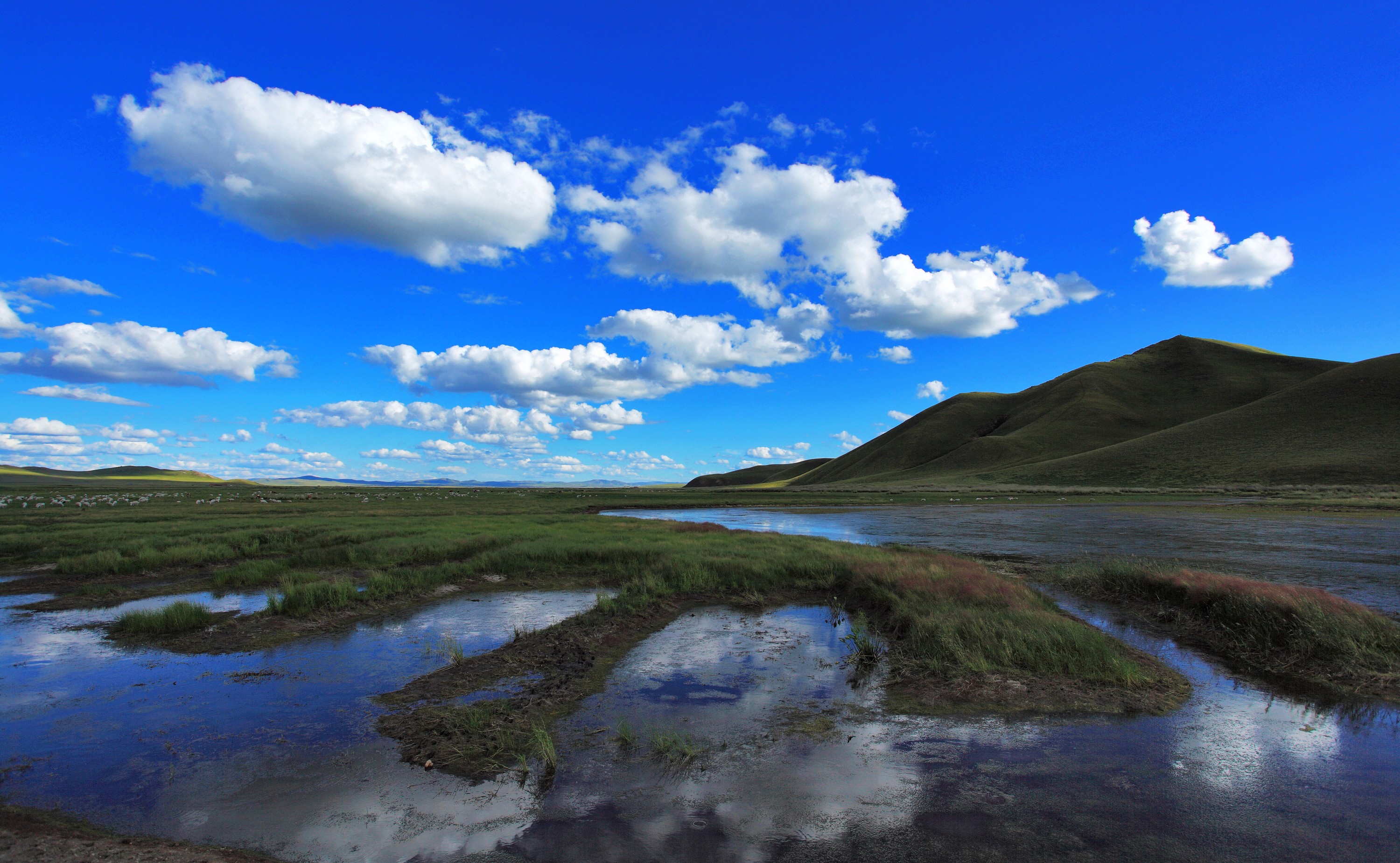 兩部制電價(jià)執(zhí)行方式,永磁同步電機(jī),國科偉業(yè),國家電網(wǎng)改類業(yè)務(wù),水泵節(jié)能納米工藝,